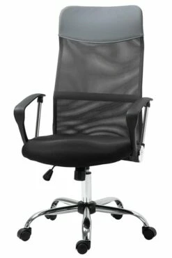 Evolve Mesh Office Chair