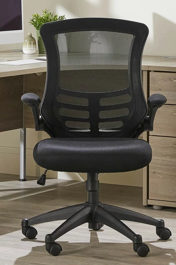 Alabama Mesh Office Chair 2 Alabama Mesh Office Chair - Image 2