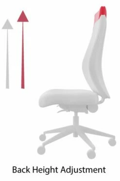 Pluto Ergonomic Mesh Office Chair -CHAIR OFFICE Sales back height adjustment