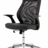 Baye Mesh Office Chair