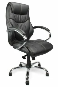 Bernera Executive Office Chair