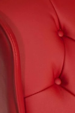 Chairman Rouge -CHAIR OFFICE Sales chairman 2 1