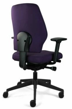 Chiro Support -CHAIR OFFICE Sales chiro support 4