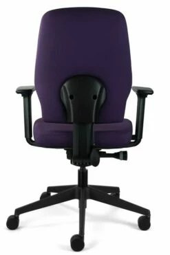 Chiro Support -CHAIR OFFICE Sales chiro support 5