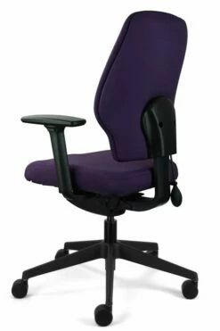Chiro Support -CHAIR OFFICE Sales chiro support 6