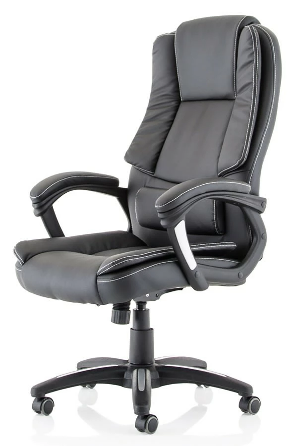Dakota Extra Padded High Back Executive Chair 3 Dakota Extra Padded High Back Executive Chair - Image 3