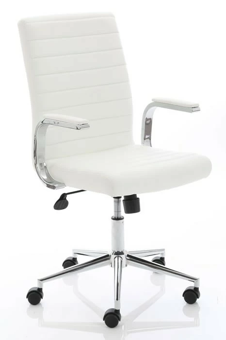 Ezra Executive Home Office Chair 13 Ezra Executive Home Office Chair - Image 13