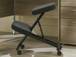 Posture Max Steel Kneeling Chair -CHAIR OFFICE Sales kneeling stool 3