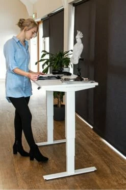 Mini Standing Desk 12 Mini Standing Desk -CHAIR OFFICE Sales mini 5