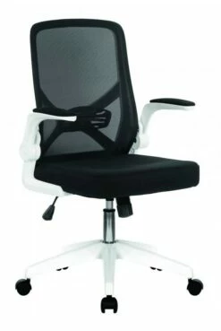 Oyster Folding Arm Office Chair