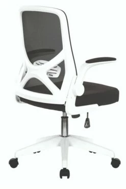 Oyster Folding Arm Office Chair -CHAIR OFFICE Sales oyster 3