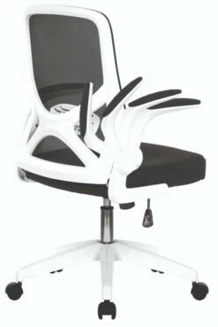 Oyster Folding Arm Office Chair -CHAIR OFFICE Sales oyster 6