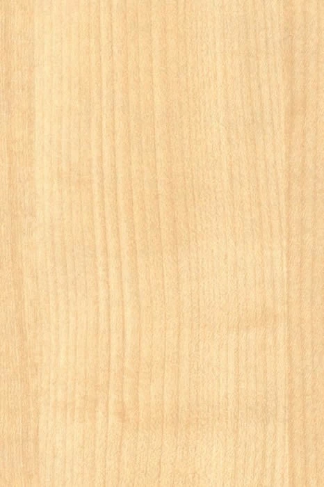 Solar Maple 2 Drawer Filing Cabinet 2 Solar Maple 2 Drawer Filing Cabinet - Image 2