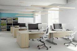 Solar Maple Fixed Pedestal -CHAIR OFFICE Sales solar room 1 1