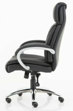 Aspartan Executive Office Chair -CHAIR OFFICE Sales spartan 3