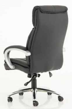 Aspartan Executive Office Chair -CHAIR OFFICE Sales spartan 4