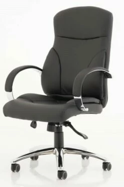 Trojan Office Chair 15 Trojan Office Chair -CHAIR OFFICE Sales trojan 2 1