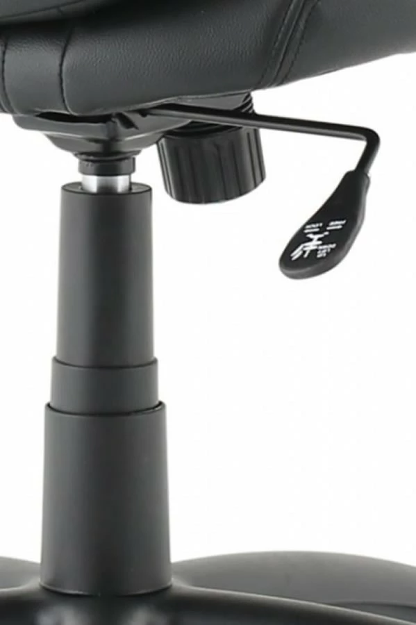 Windsor Leather Office Chair 8 Windsor Leather Office Chair - Image 8