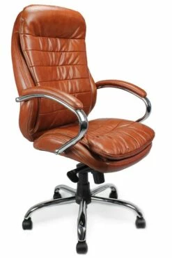 Winston Executive Chair 5 Winston Executive Chair -CHAIR OFFICE Sales winston tan 1